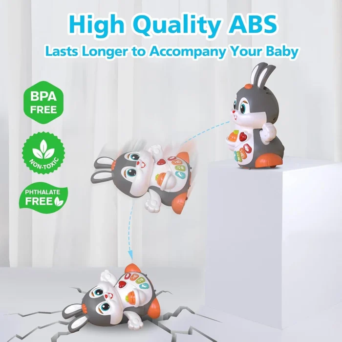خرگوش موزیکال Dancing Bunny HE9991 هولی تویز Huile Toys