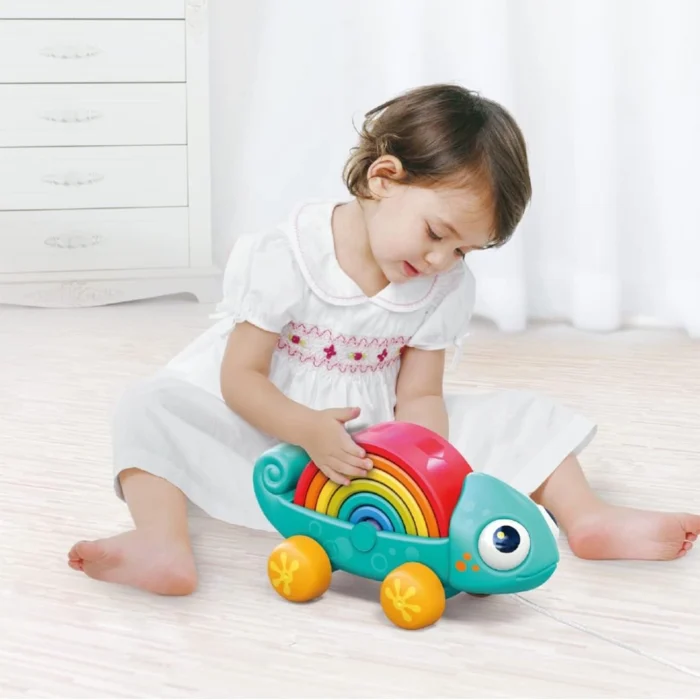 پازل آفتاب پرست رنگین کمانی 795700 هولی تویز Huile Toys