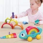 پازل آفتاب پرست رنگین کمانی 795700 هولی تویز Huile Toys