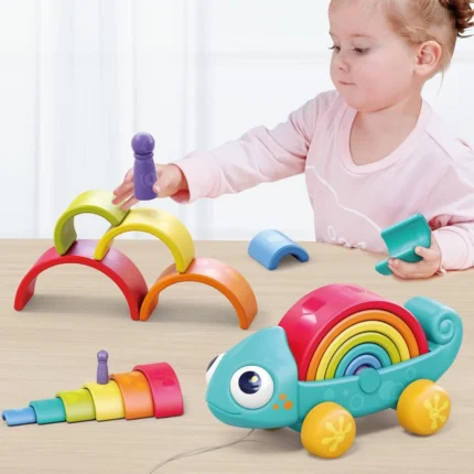 پازل آفتاب پرست رنگین کمانی 795700 هولی تویز Huile Toys