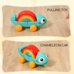 پازل آفتاب پرست رنگین کمانی 795700 هولی تویز Huile Toys