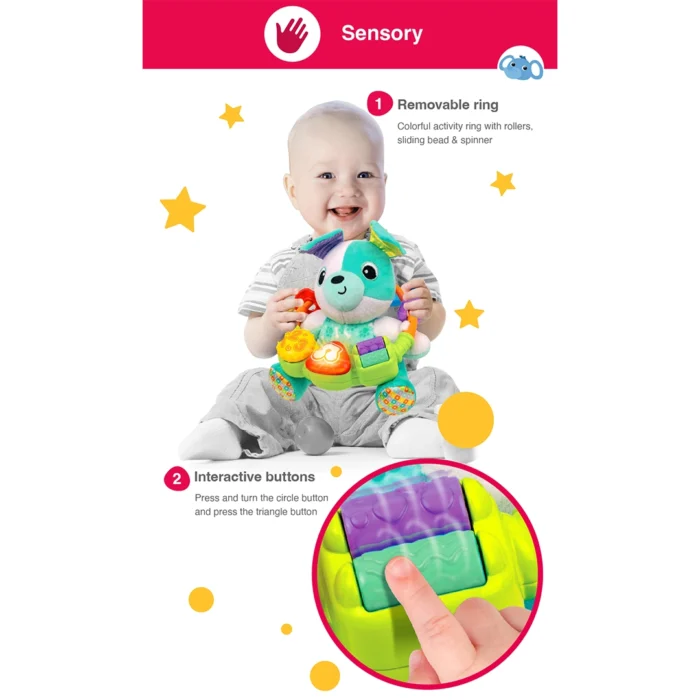 سگ پولیشی موزیکال 240104 وین فان Winfun