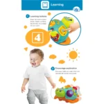 لاکپشت پازلی موزیکال 240301 وین فان Winfun