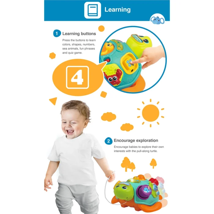 لاکپشت پازلی موزیکال 240301 وین فان Winfun