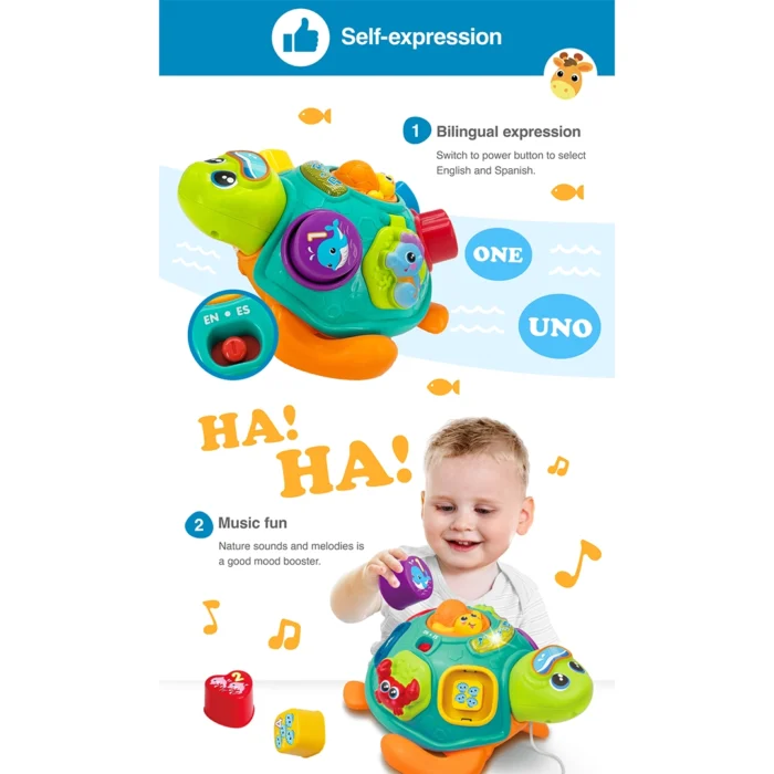 لاکپشت پازلی موزیکال 240301 وین فان Winfun