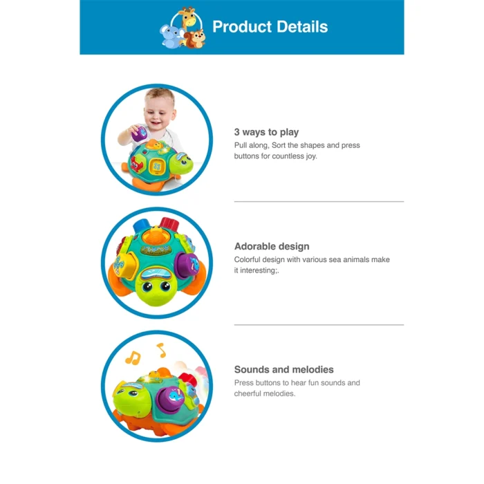 لاکپشت پازلی موزیکال 240301 وین فان Winfun