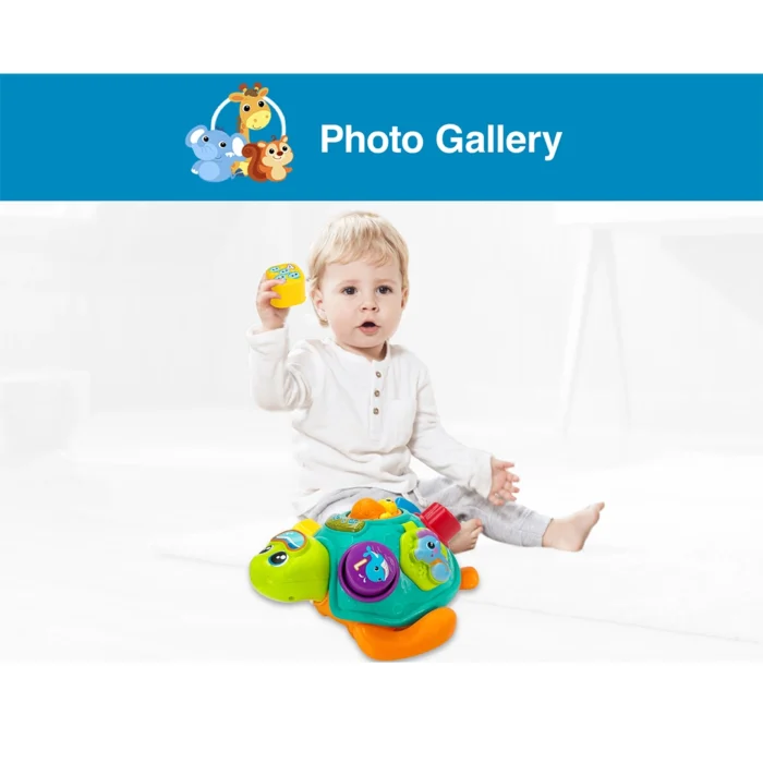 لاکپشت پازلی موزیکال 240301 وین فان Winfun